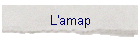 L'amap